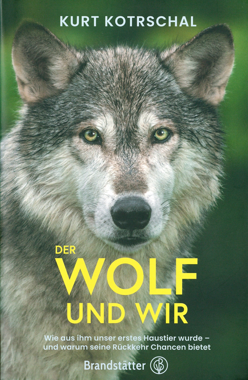 Der Wolf und Wir